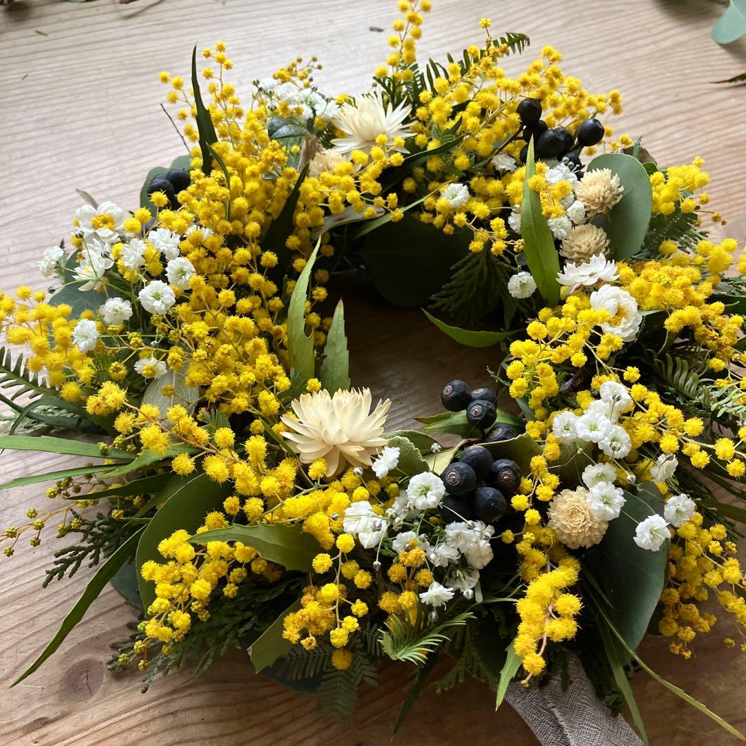フレッシュミモザのリース　銀葉アカシア　貝細工　シャリンバイ　花かんざし　春