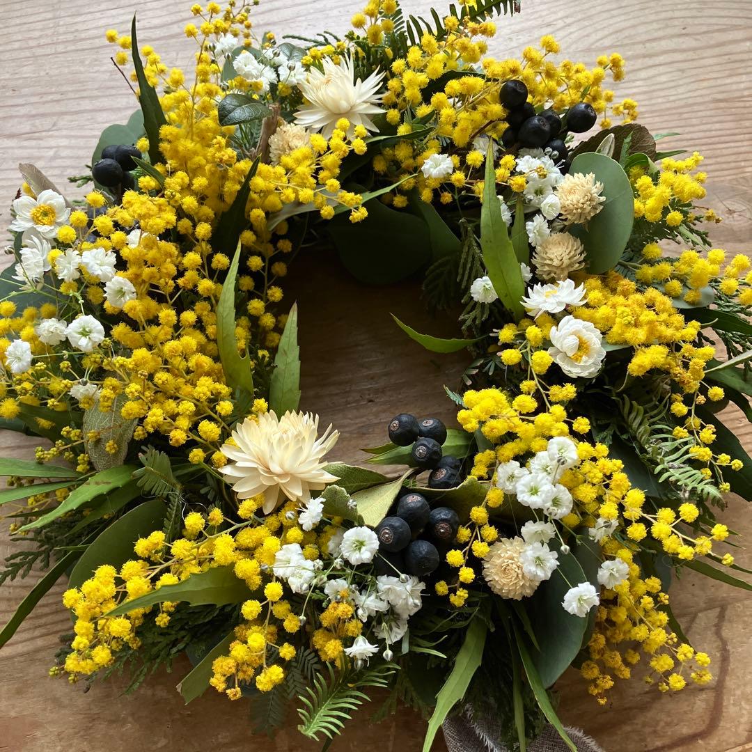 フレッシュミモザのリース　銀葉アカシア　貝細工　シャリンバイ　花かんざし　春