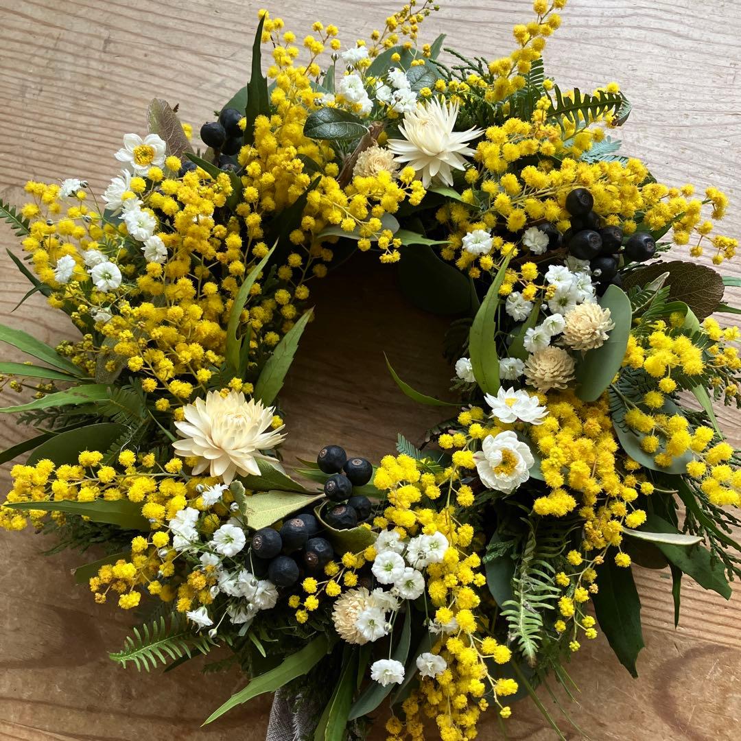 フレッシュミモザのリース　銀葉アカシア　貝細工　シャリンバイ　花かんざし　春