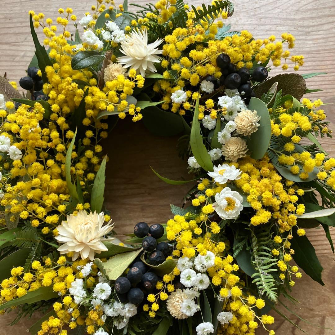 フレッシュミモザのリース　銀葉アカシア　貝細工　シャリンバイ　花かんざし　春