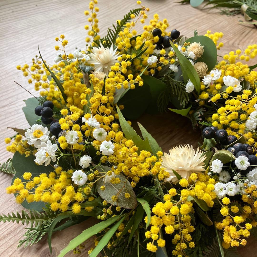 フレッシュミモザのリース　銀葉アカシア　貝細工　シャリンバイ　花かんざし　春