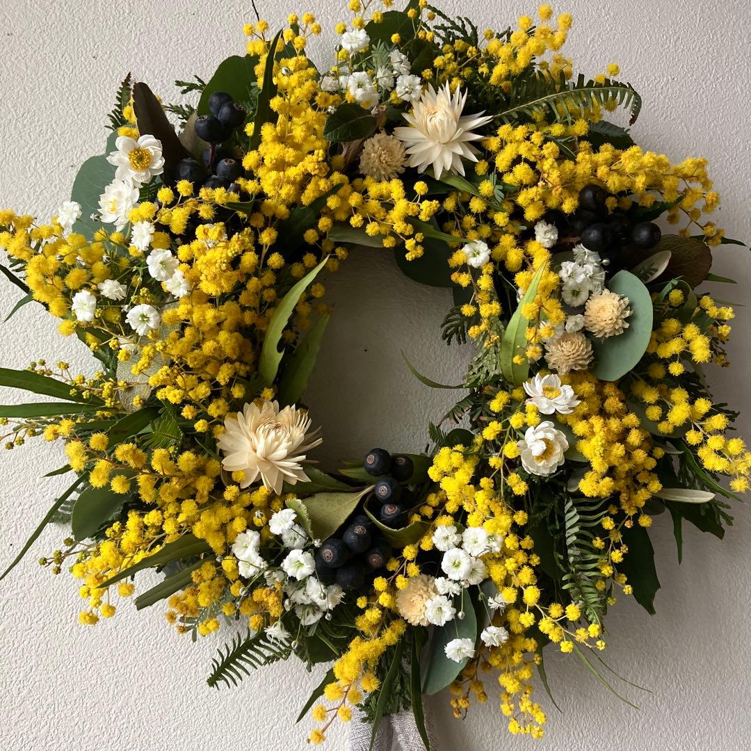 フレッシュミモザのリース　銀葉アカシア　貝細工　シャリンバイ　花かんざし　春