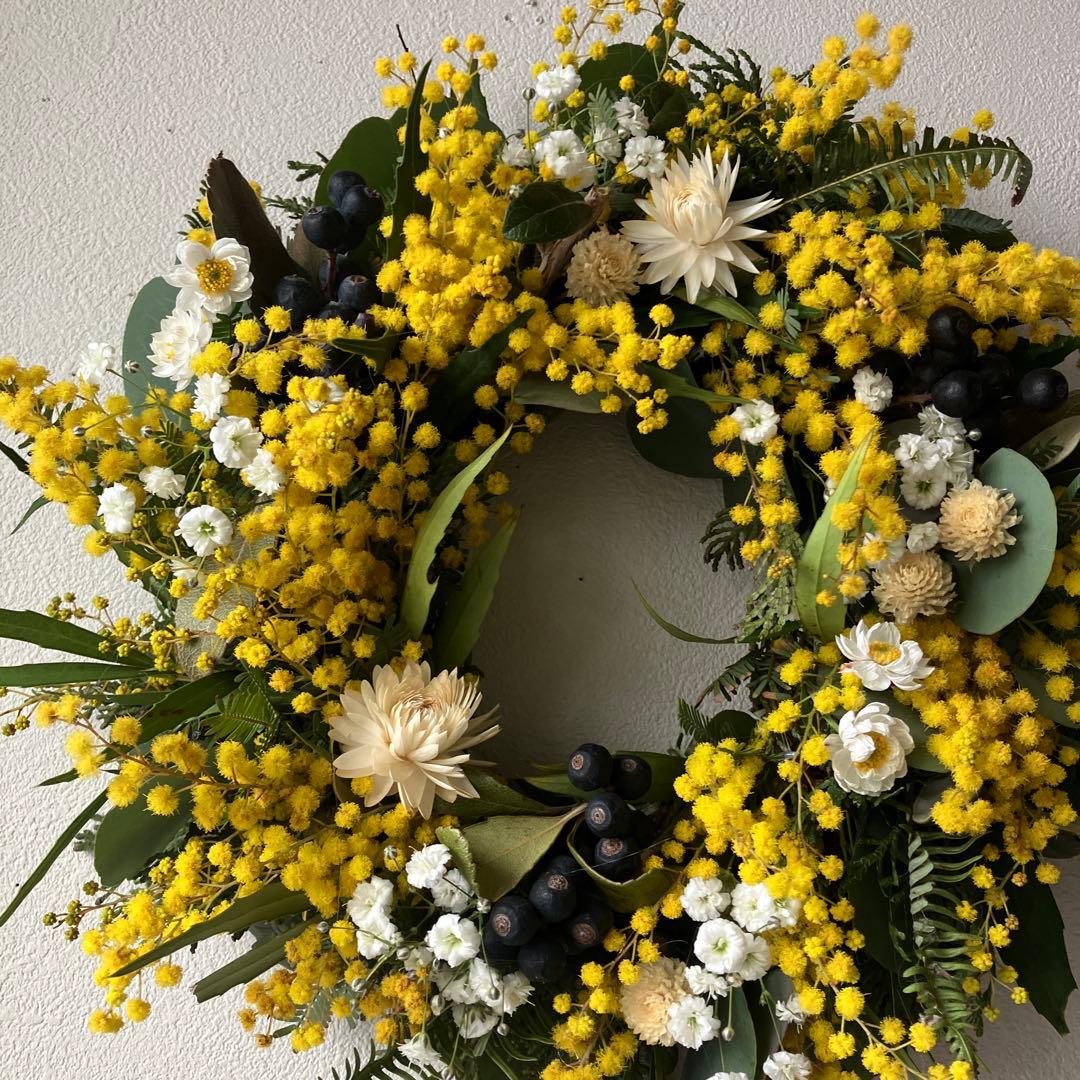 フレッシュミモザのリース　銀葉アカシア　貝細工　シャリンバイ　花かんざし　春