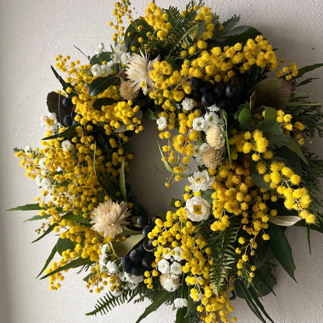 フレッシュミモザのリース　銀葉アカシア　貝細工　シャリンバイ　花かんざし　春