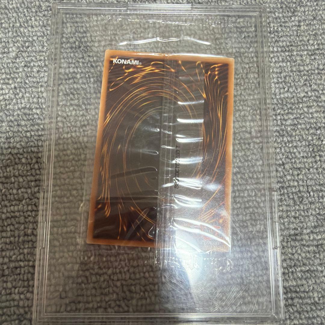 新品 未開封 遊戯王 ガーデン・ローズ・メイデン　ドイツ語