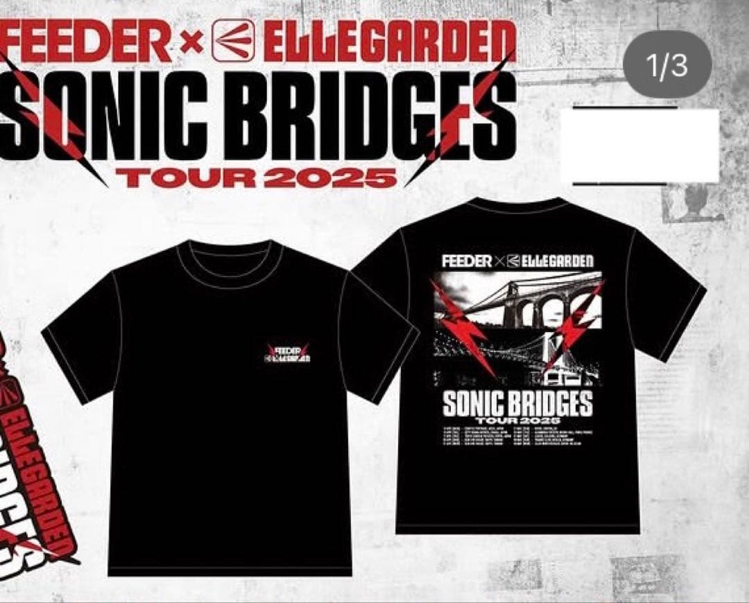 FEEDER x ELLEGARDEN Tシャツ XL