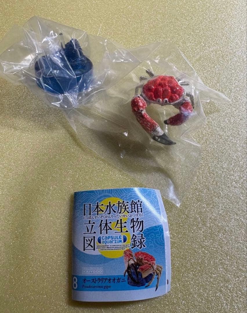 d*7様 日本水族館立体生物図録　単品　【オーストラリアオオガニ】海洋堂　ガチャ