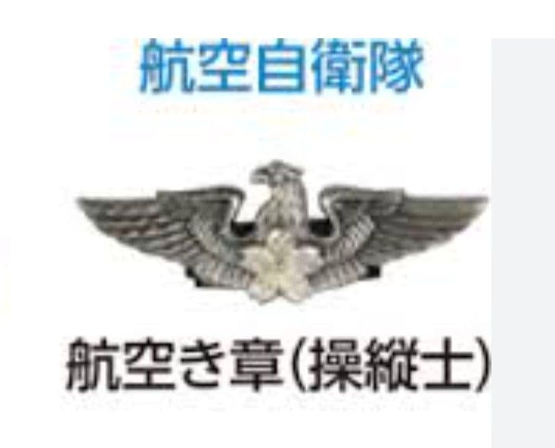 自衛隊航空徴章（操縦士）　タイピン