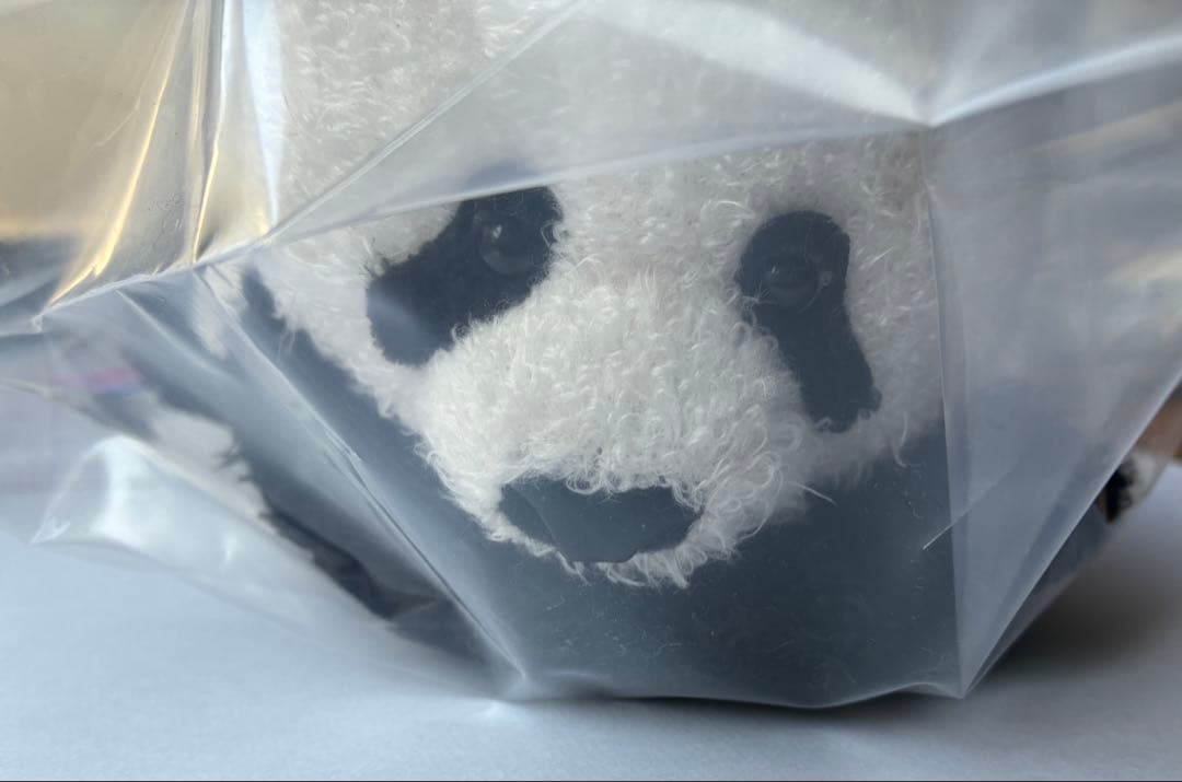 上野動物園　シャンシャン　かまってシャンシャン