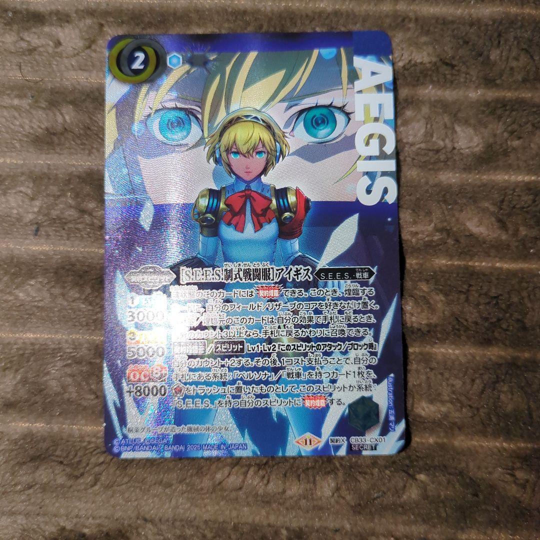 ［S.E.E.S.制式戦闘服］アイギス SECRET