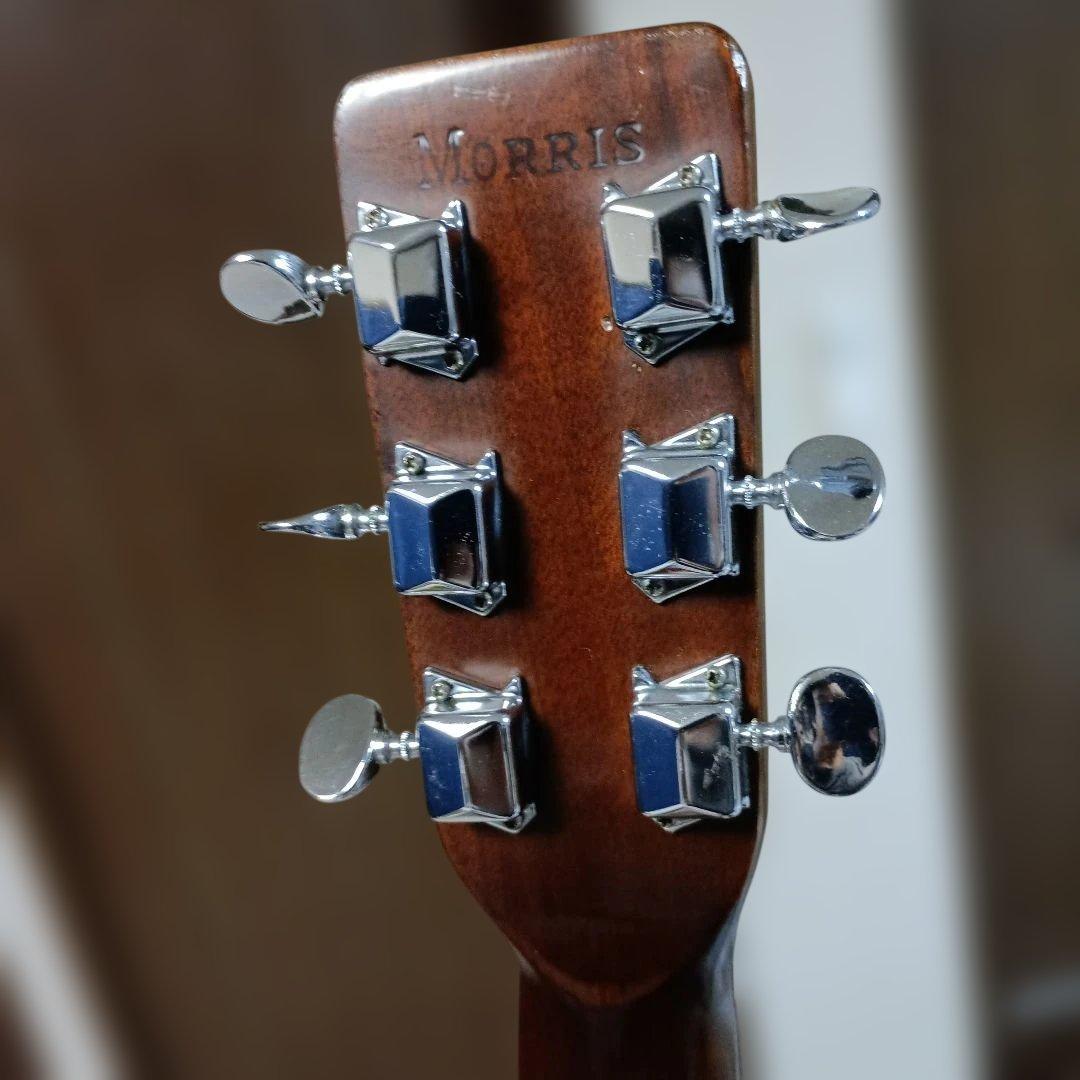 初期ロゴ Morris モーリス アコギ F12 吉野楽器 F-12