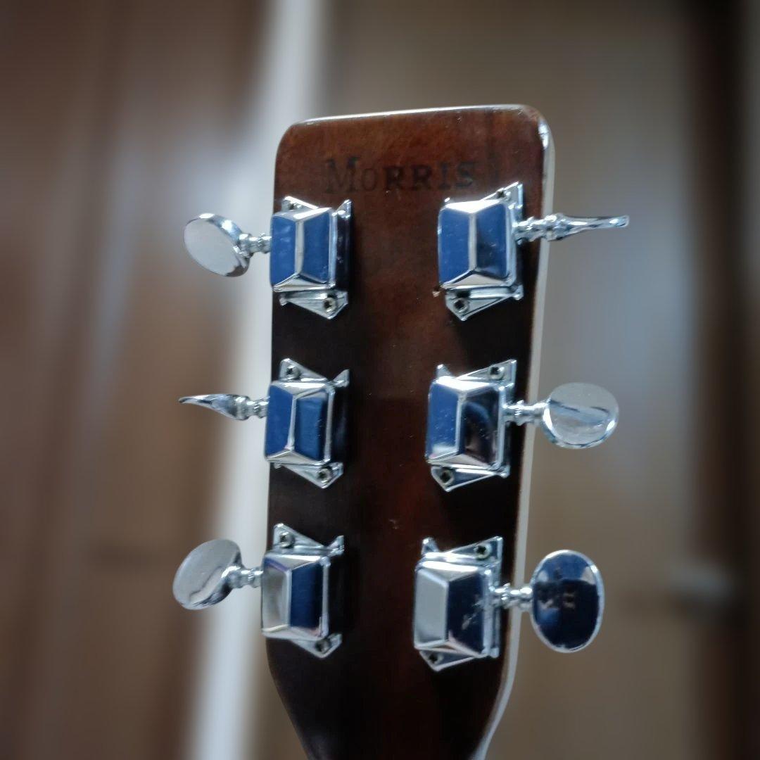 初期ロゴ Morris モーリス アコギ F12 吉野楽器 F-12