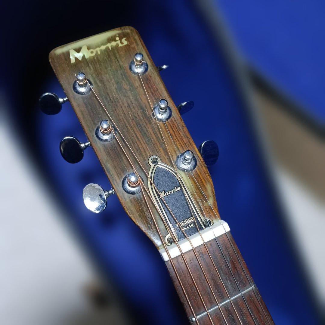 初期ロゴ Morris モーリス アコギ F12 吉野楽器 F-12