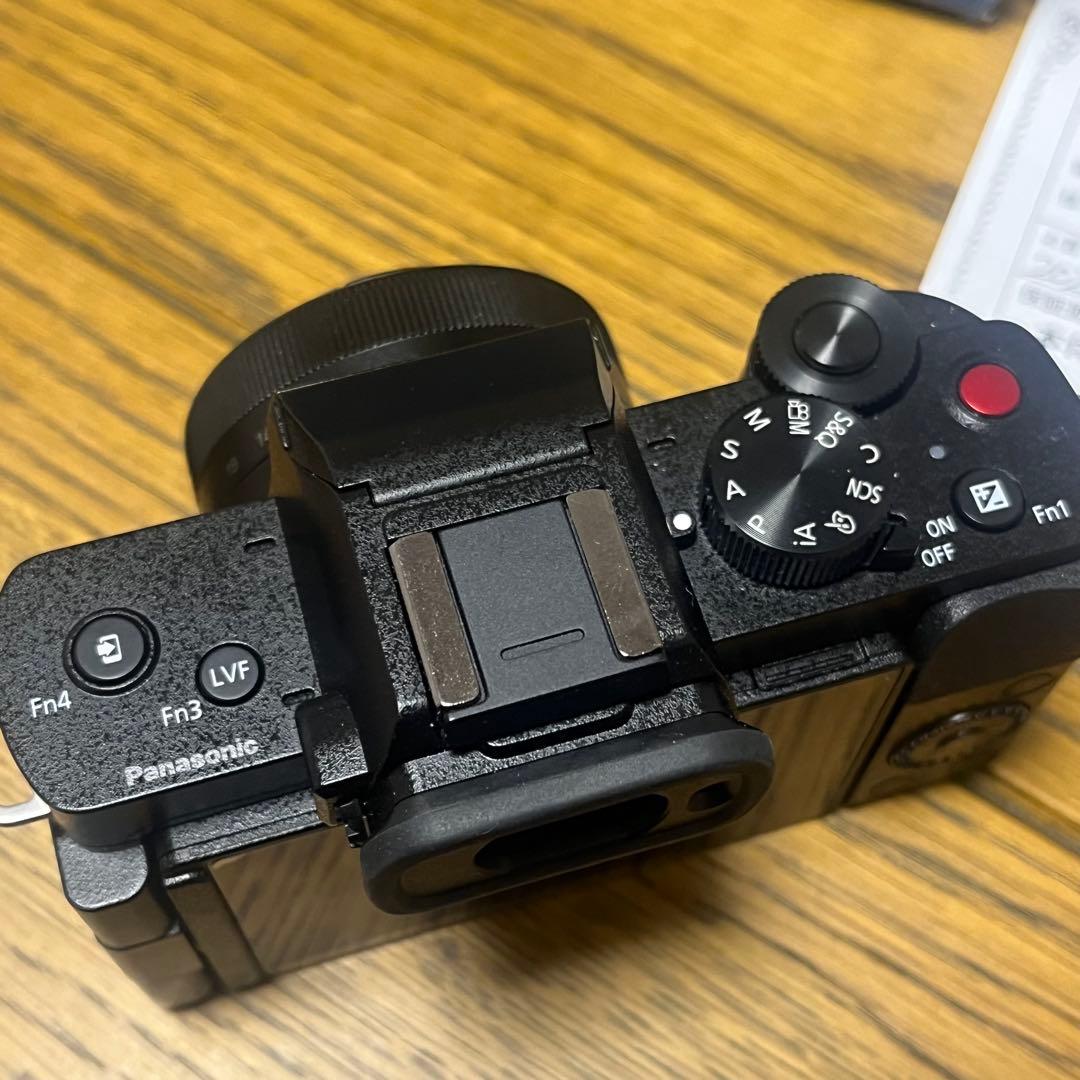 Panasonic LUMIX DC-G100D ミラーレスカメラ　【美品】