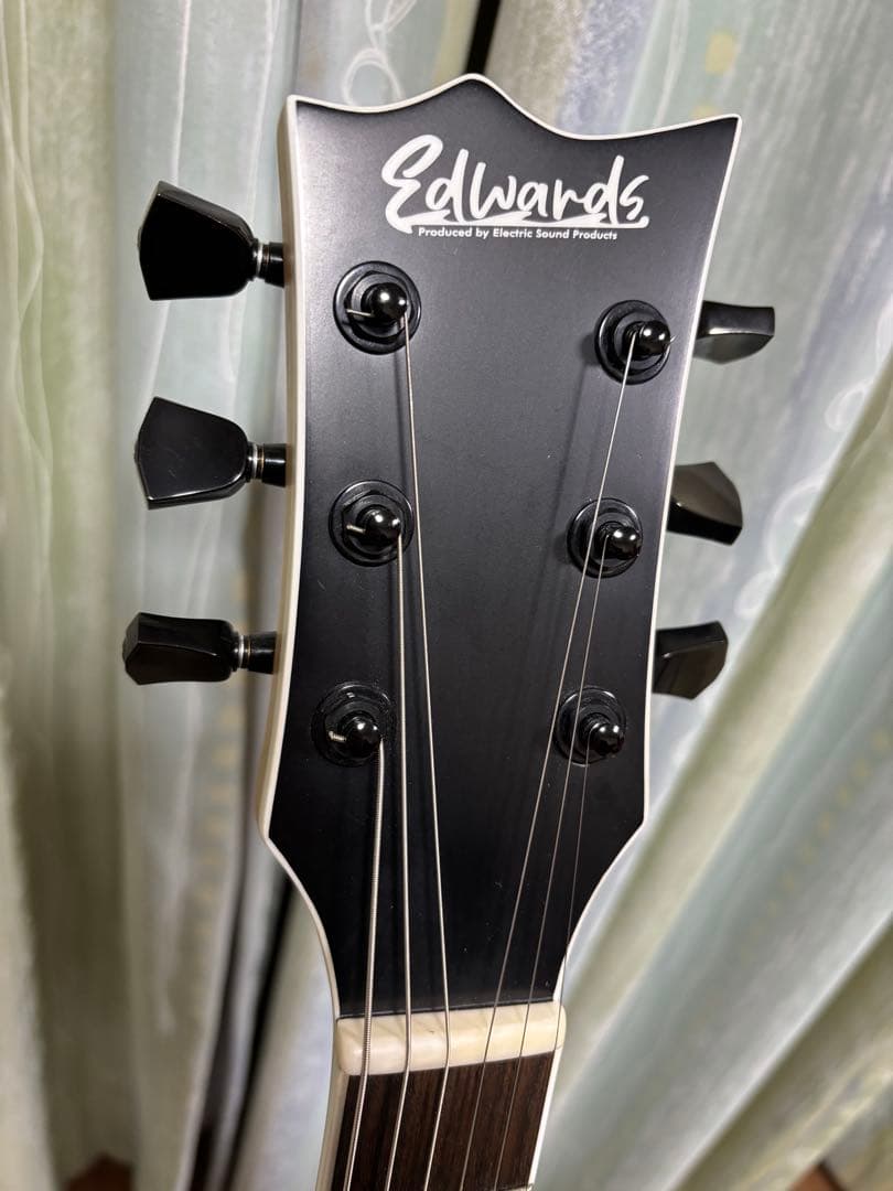 EDWARDS E-VIPER-1H -Satin Natural- 【改造】