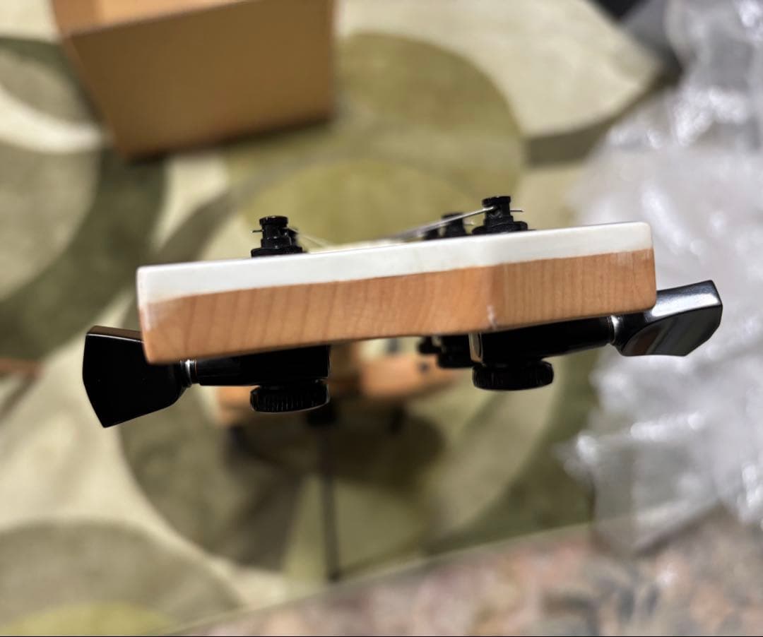 EDWARDS E-VIPER-1H -Satin Natural- 【改造】