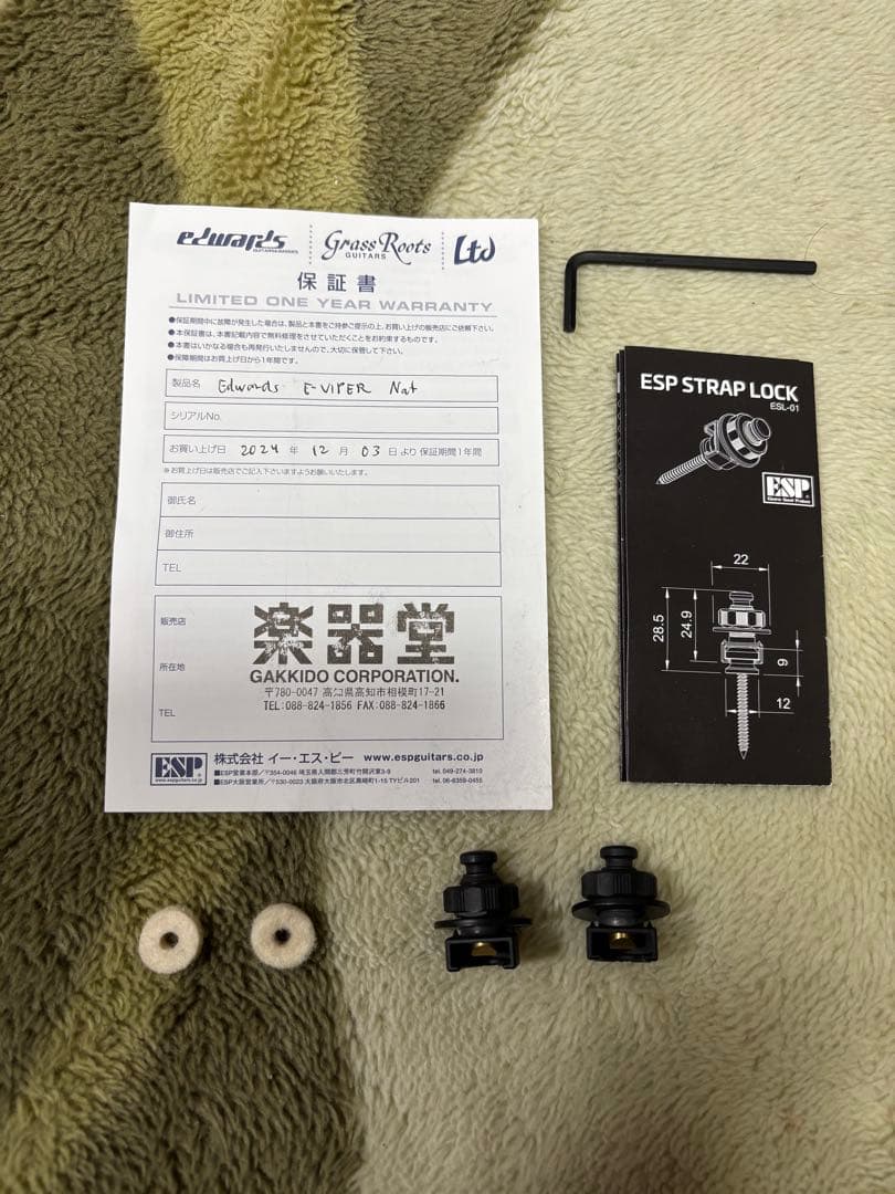 EDWARDS E-VIPER-1H -Satin Natural- 【改造】