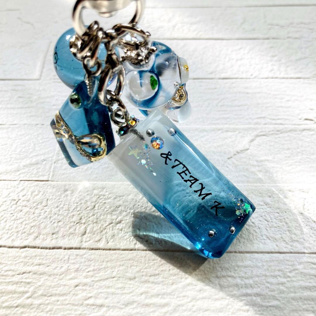 りくみんページ　レジンキーホルダー、レジンバックチャーム　6点