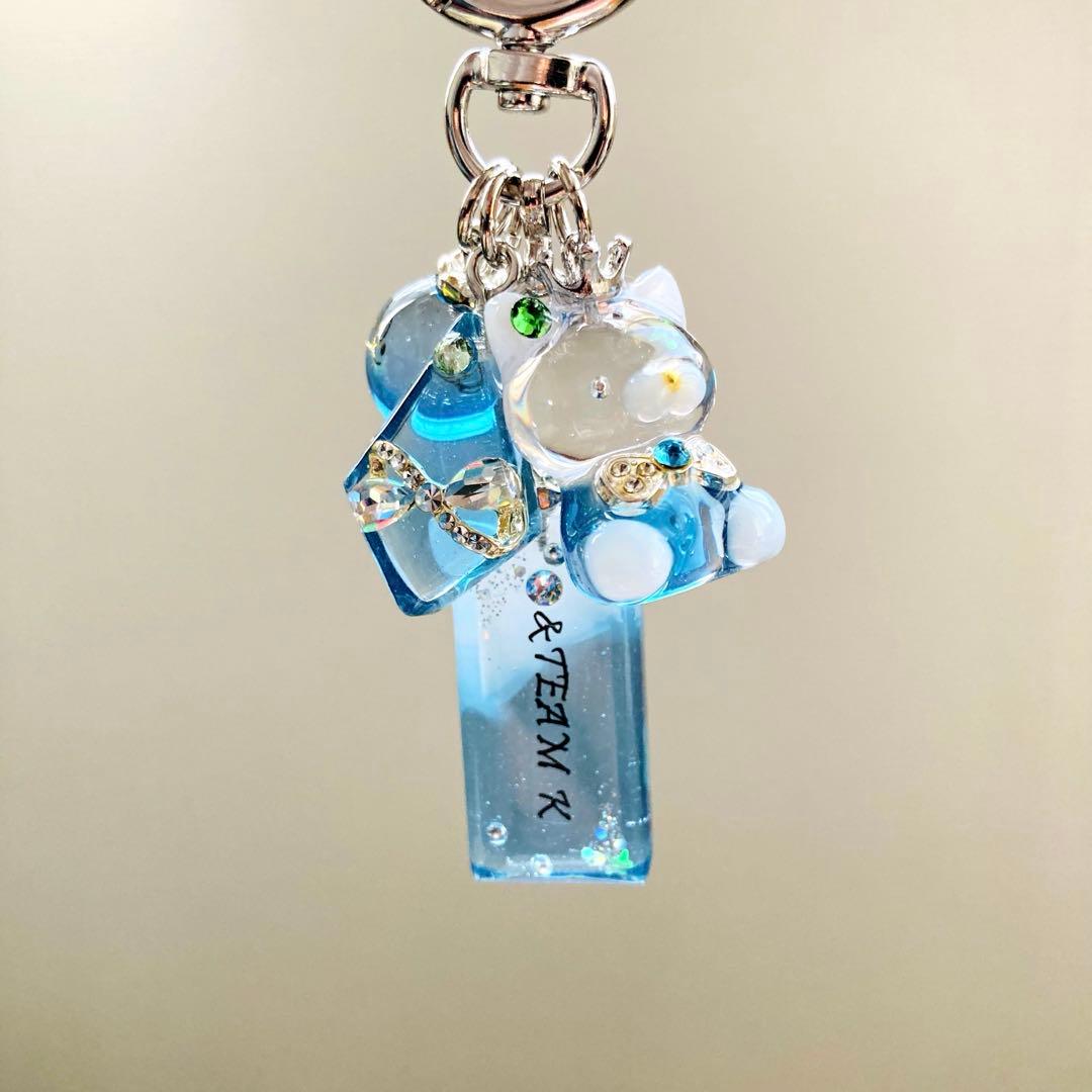 りくみんページ　レジンキーホルダー、レジンバックチャーム　6点