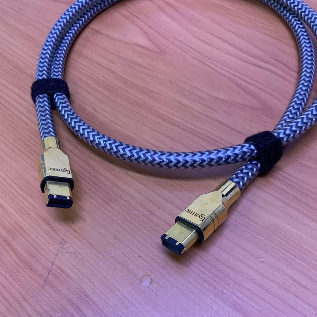 レア❗️ ESOTERIC i.LINKケーブル　8N-6P/6Pi 1.0m