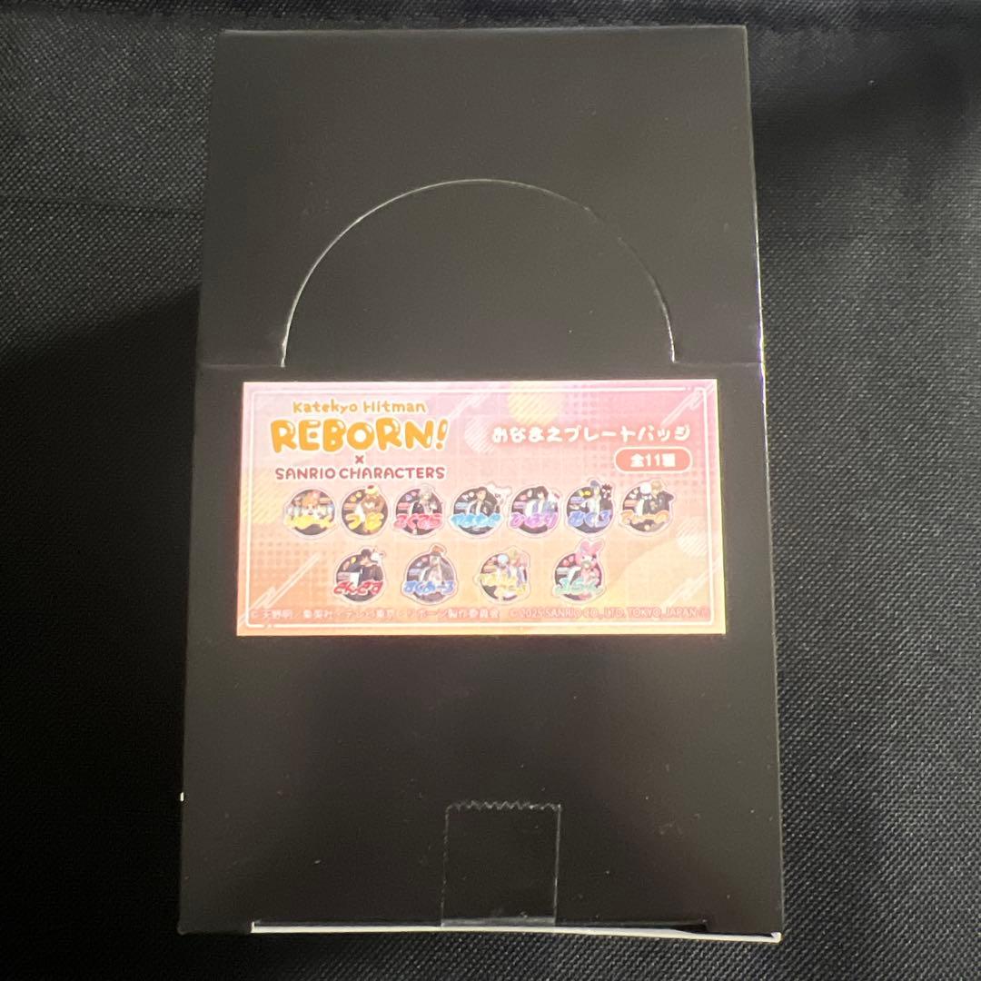 家庭教師REBORN！sanrio characters おなまえプレートバッジ