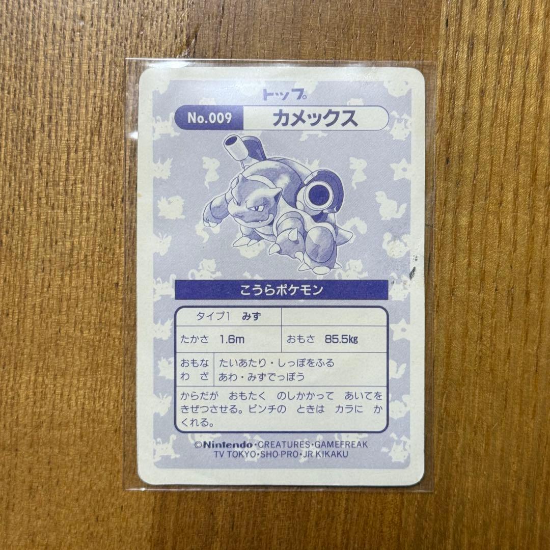 【激レア】トップサン カメックス