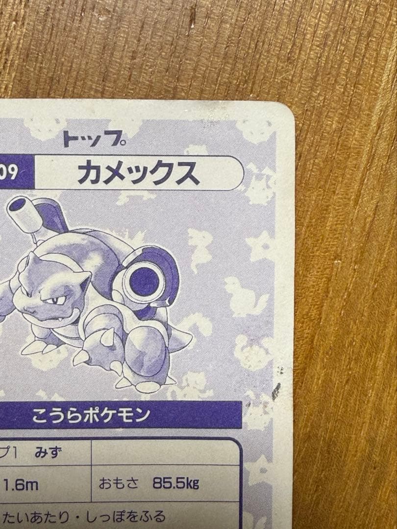 【激レア】トップサン カメックス