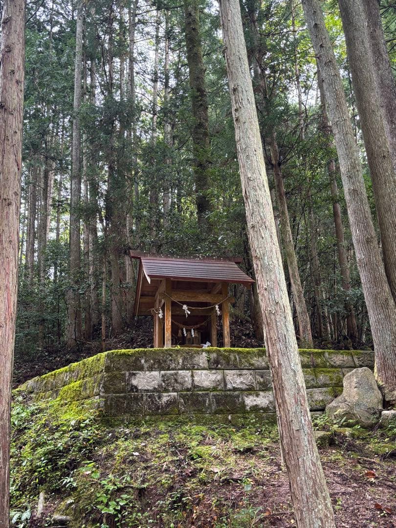 【富と才能の神】大黒天・弁財天天珠 虎目石ブレス【河内神社 浄化】