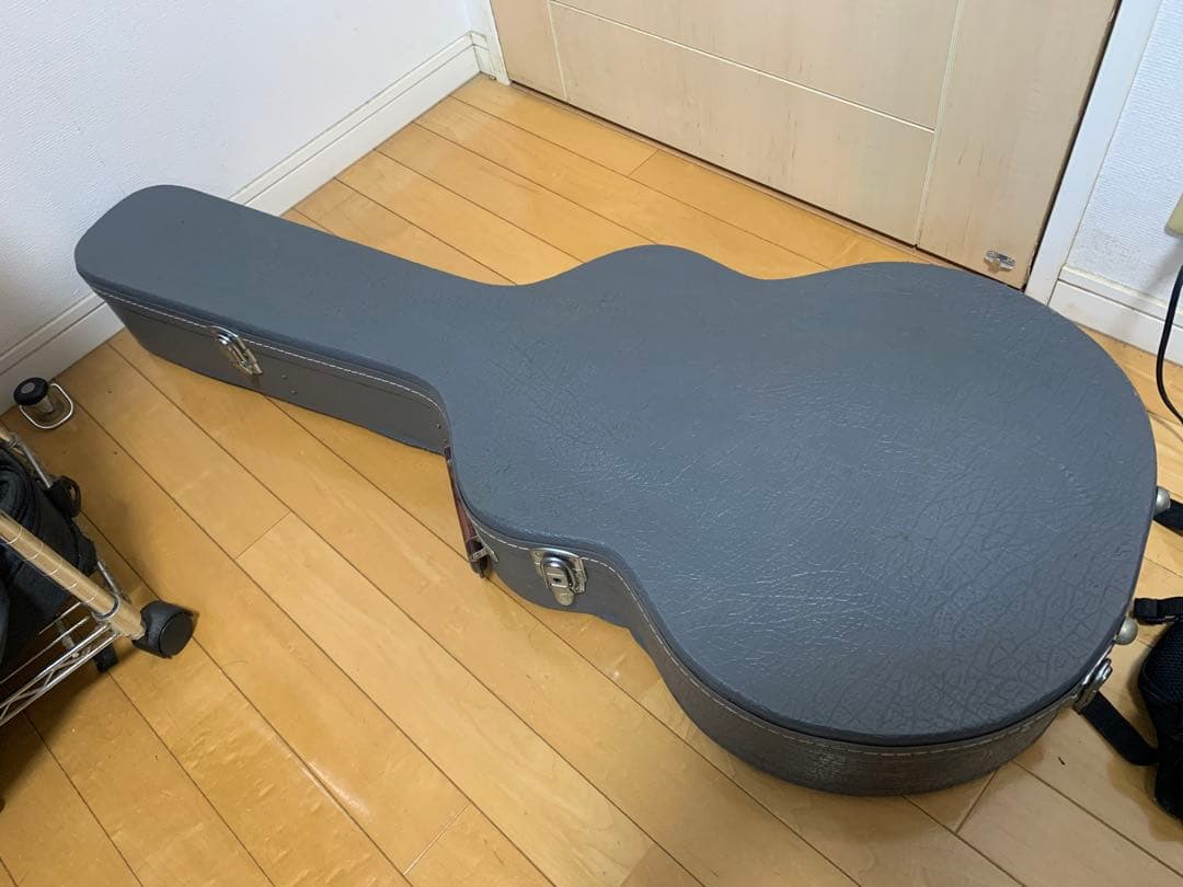 ギター Ibanez AF105
