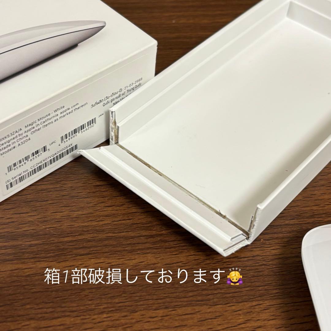 Apple Magic Mouse 本体 最新usb-c Multi-Touch