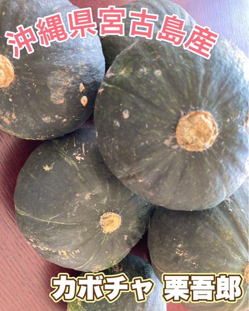 【ハッピー】カボチャ かぼちゃ 沖縄県 宮古島産