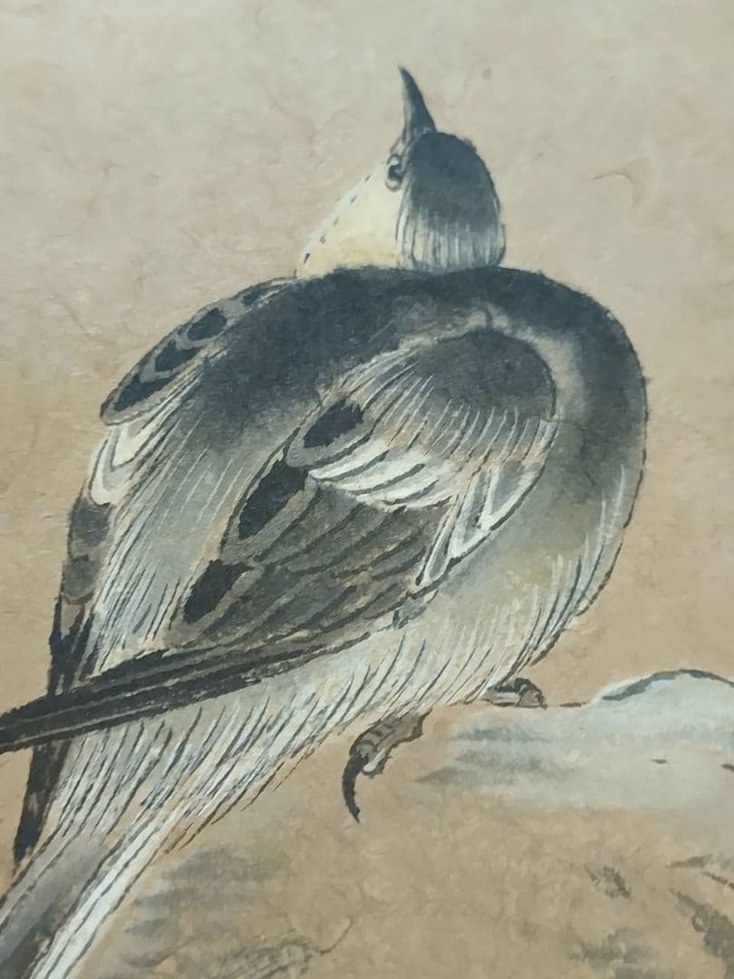 和額　絵画 うぐいす　日本画