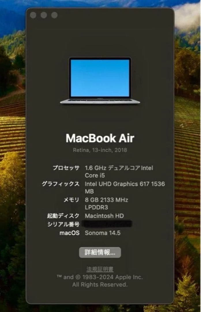 美品 MacBook Air 2018 / Windows11 PRO