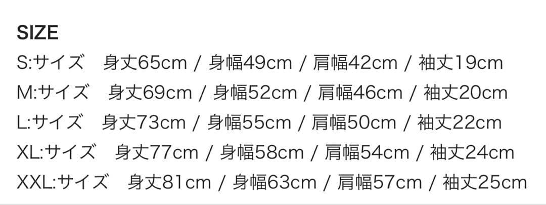 ミュージシャン Hi-STANDARD SNB Chris T-shirt