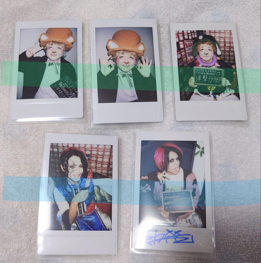 BabyKingdom チェキ