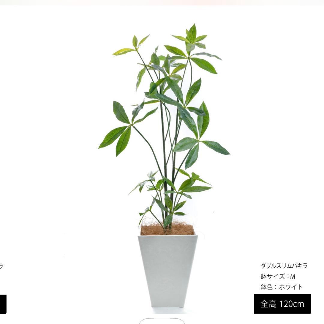 フェイクグリーン パキラ 大型 約120cm 鉢付き インテリア