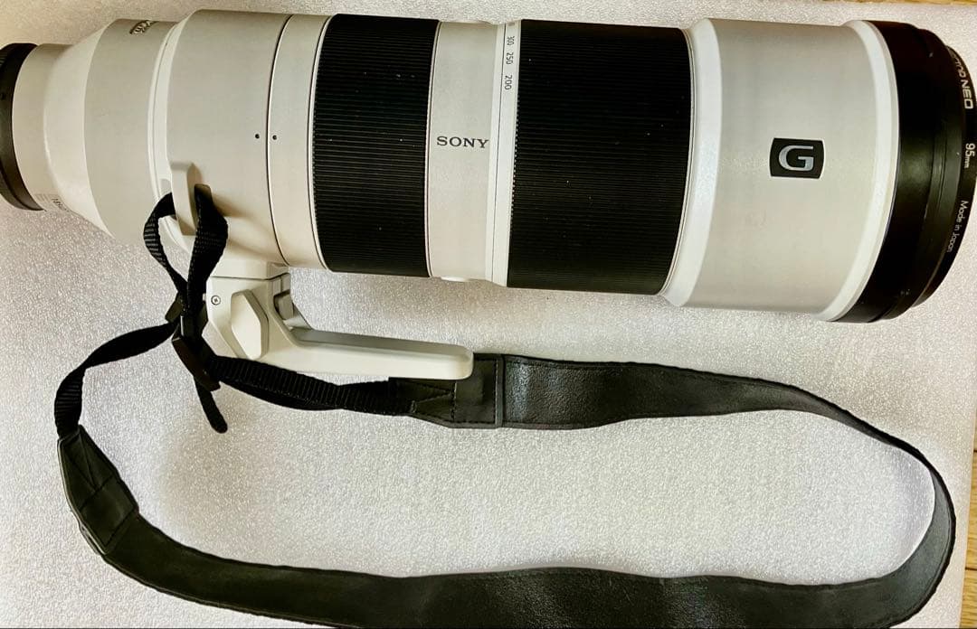 いいえ、彼は首を横に振る　SONY FE 200-600mm