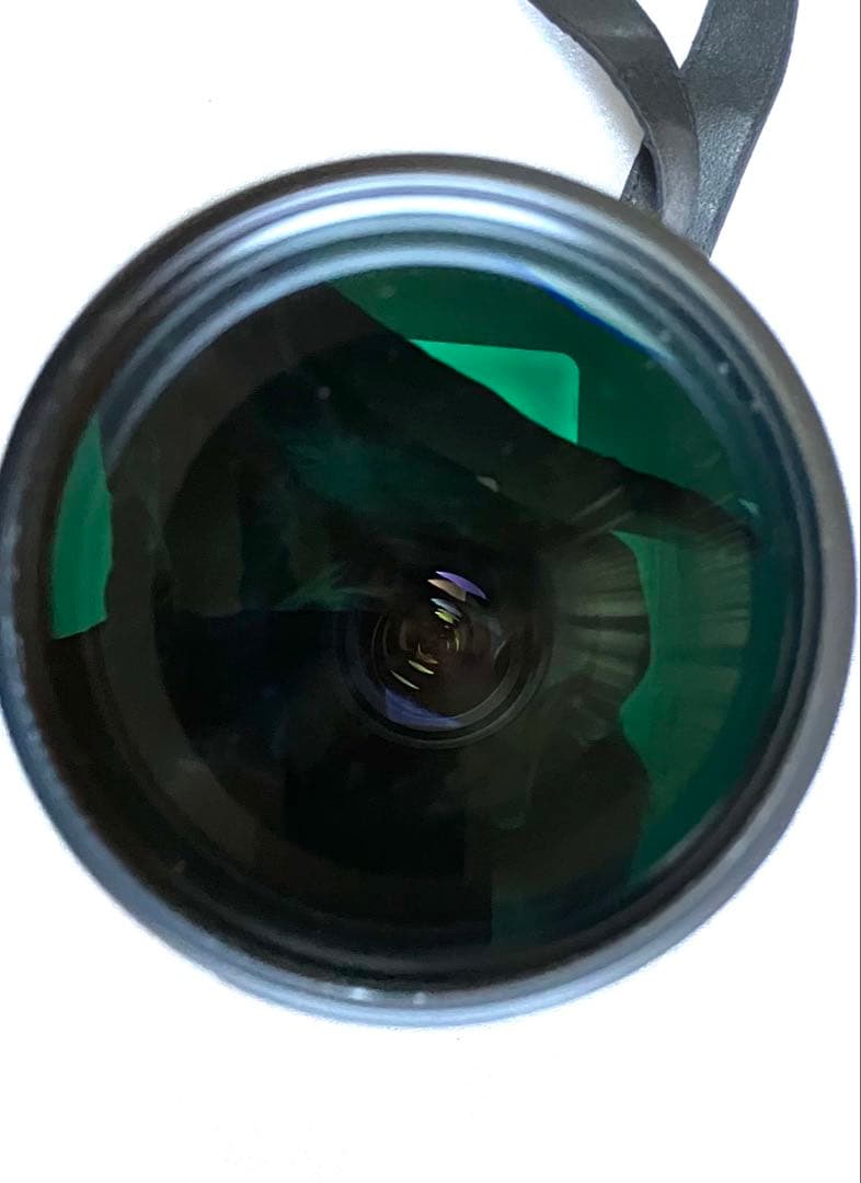 いいえ、彼は首を横に振る　SONY FE 200-600mm