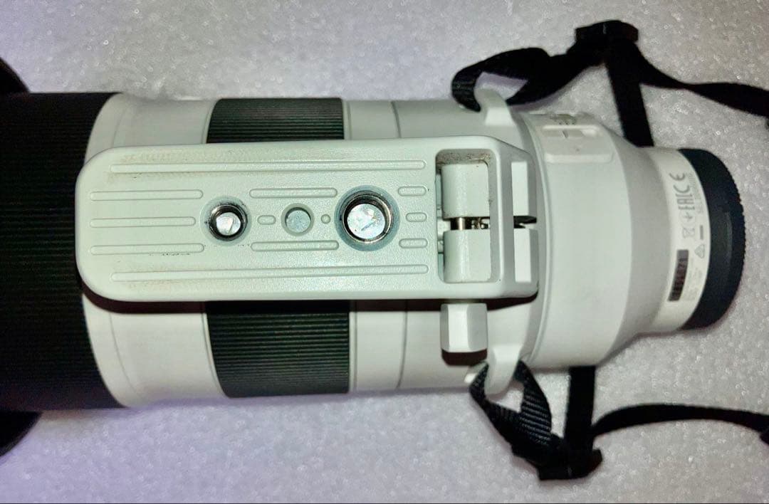 いいえ、彼は首を横に振る　SONY FE 200-600mm