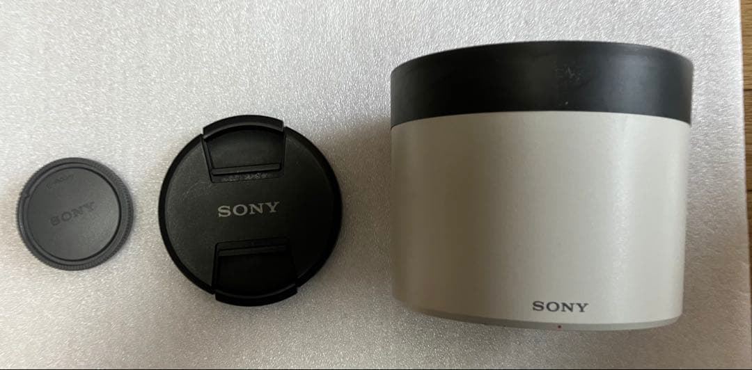 いいえ、彼は首を横に振る　SONY FE 200-600mm