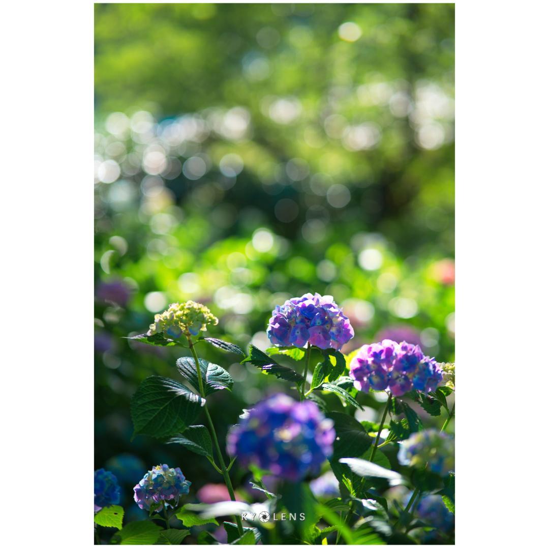 Viltrox AF 85/1.8 II FE レンズ