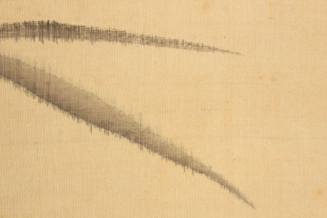 No5102 掛軸　村瀬秋水蘭画賛　絹本 合箱　南画　古画　古美術　送料無料