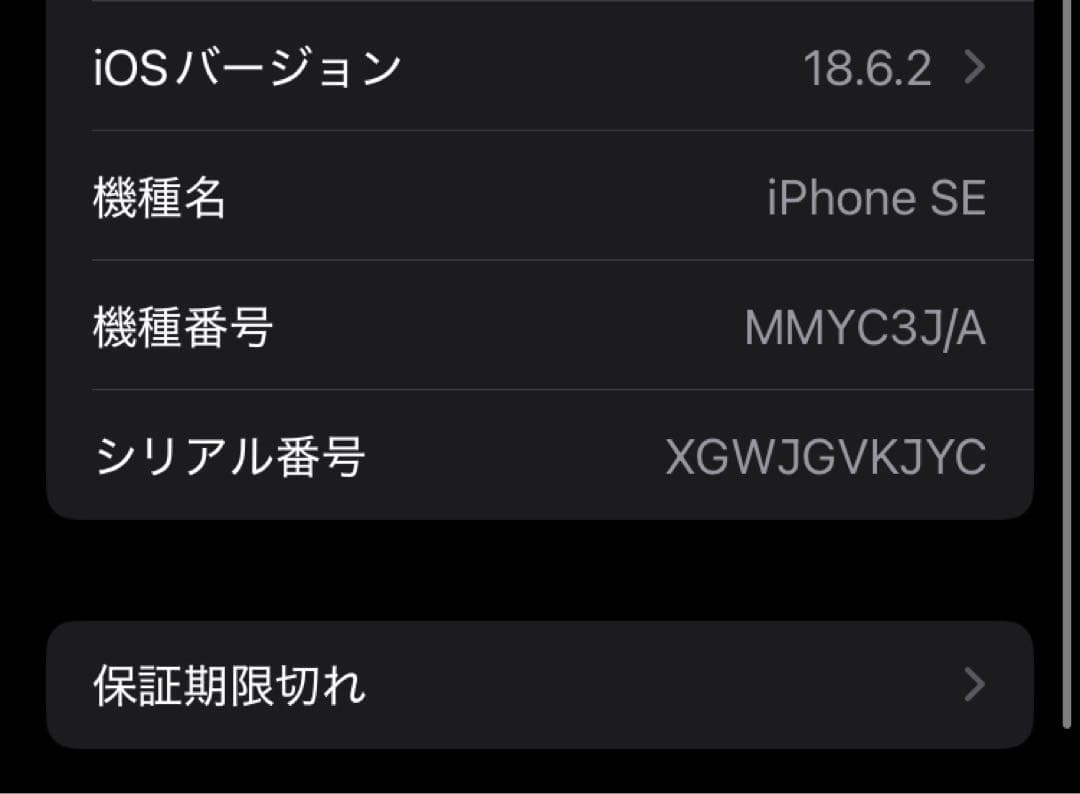 iPhone SE ブラック