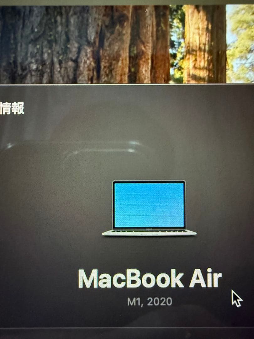 MacBook本体 Apple MacBook Air 2020 M1 16g 1T