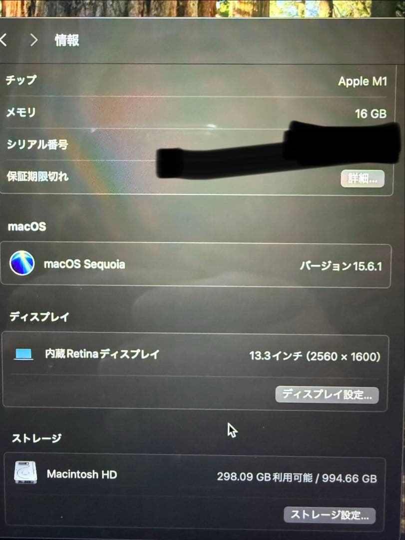 MacBook本体 Apple MacBook Air 2020 M1 16g 1T