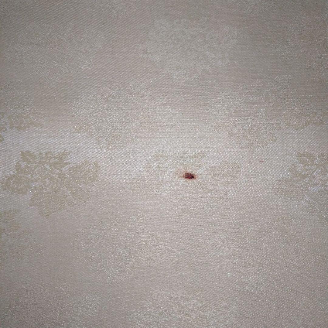 掛け軸　田上芳泉　美術年鑑掲載作家　「遊鯉　二匹鯉」