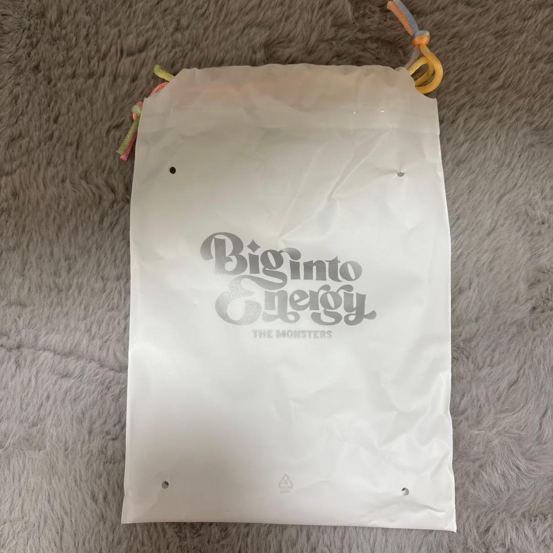 正規品　THEMONSTERS シークレットラブブ