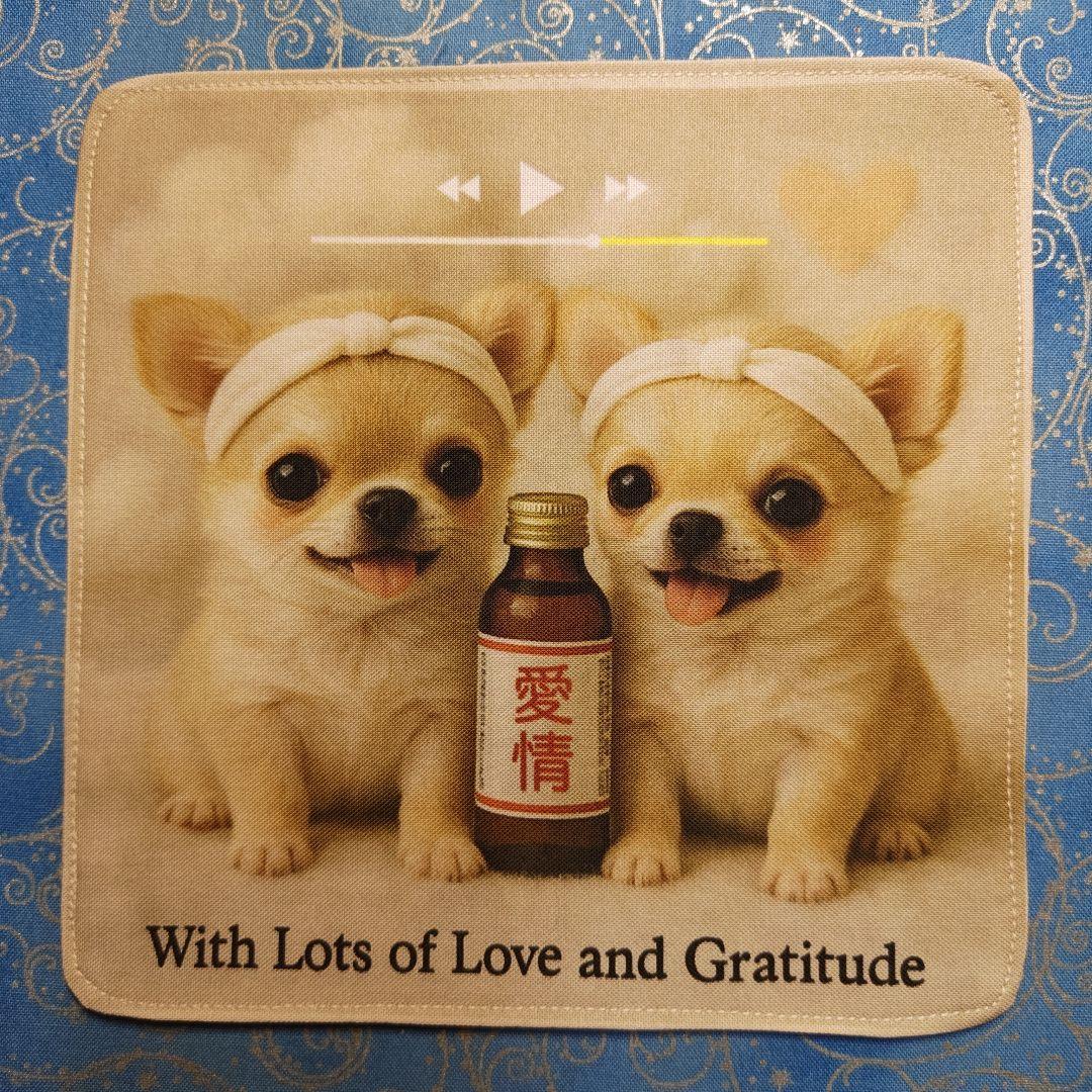 ななちゃん　ハンカチ　ネコちゃん柄　18枚