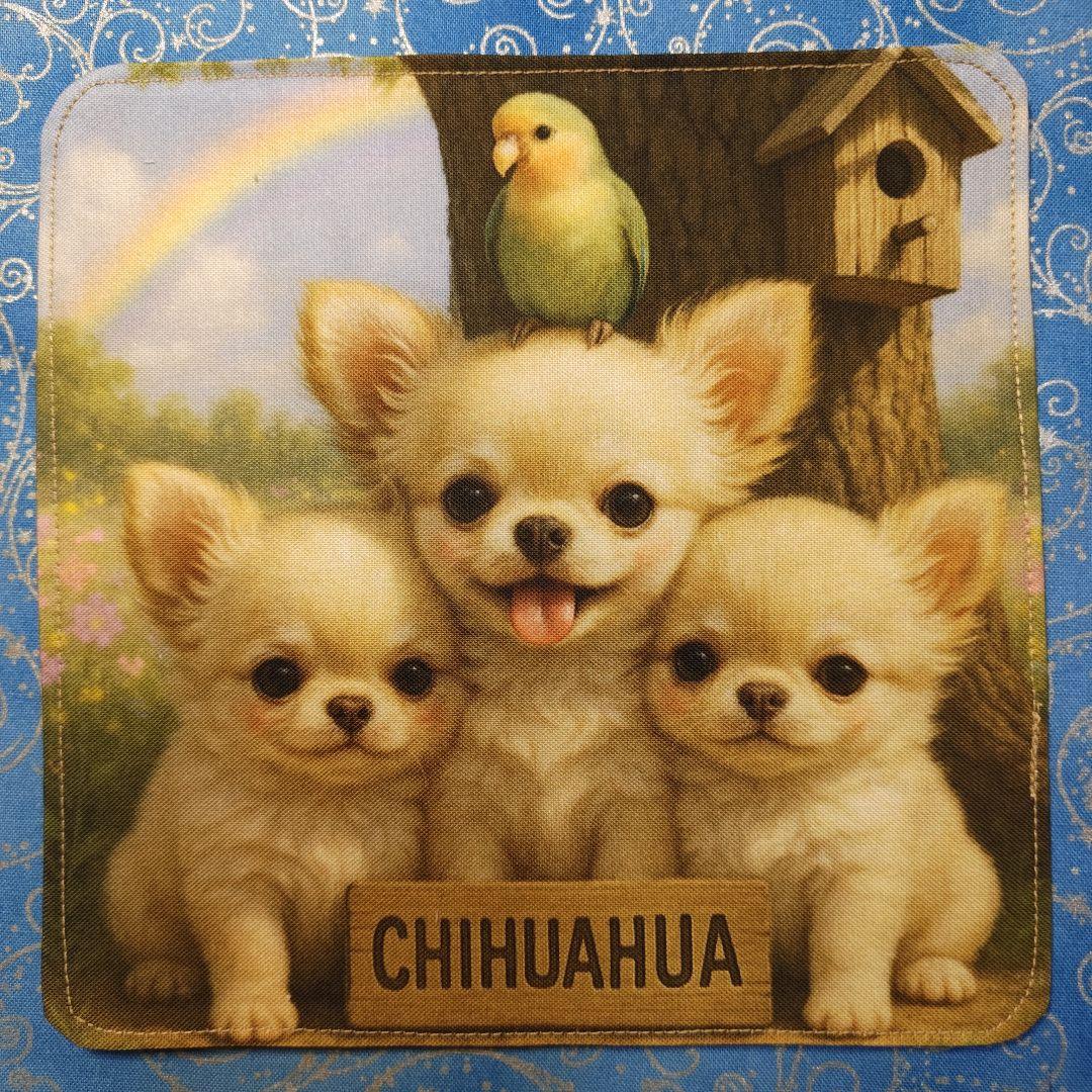 ななちゃん　ハンカチ　ネコちゃん柄　18枚