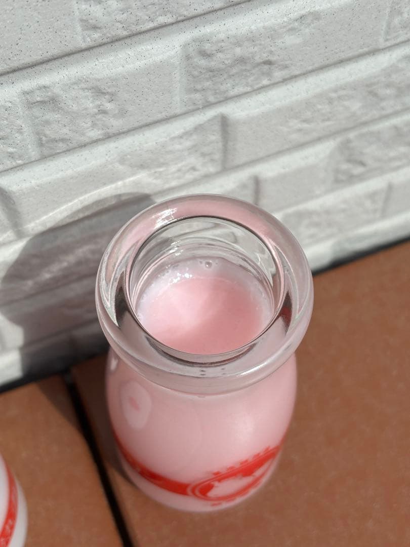 食品サンプル　熱海プリン　カスタード　苺　ミルク